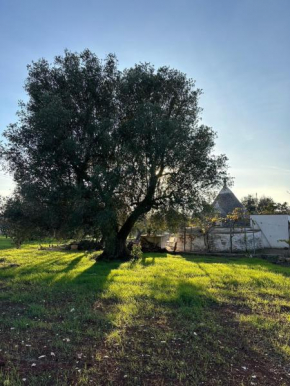 Trullo Jazzo à Ostuni Ostuni